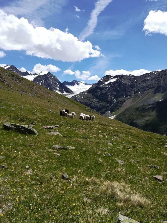 Haus Pechtl Ξενοδοχείο Sankt Leonhard im Pitztal Εξωτερικό φωτογραφία