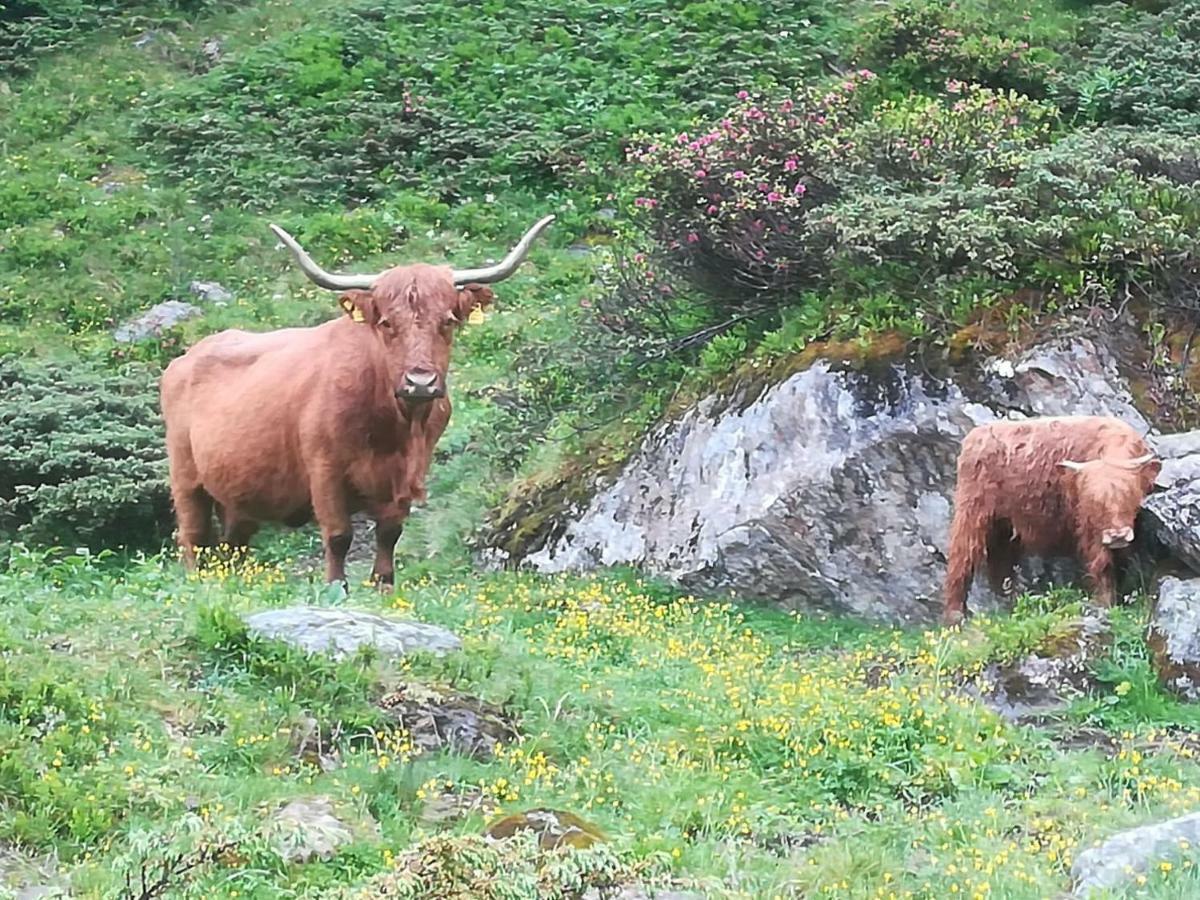 Haus Pechtl Ξενοδοχείο Sankt Leonhard im Pitztal Εξωτερικό φωτογραφία